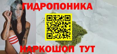 Альфа ПВП Гусев