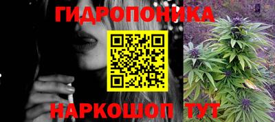 крисы Гусь-Хрустальный
