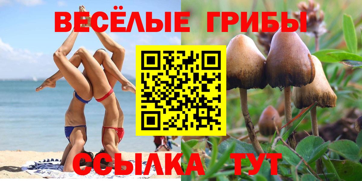 Протвино  Галлюциногенные грибы мухоморы  Вход с VPN 